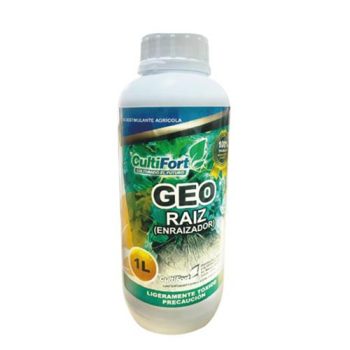 GEO RAIZ