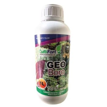 GEO BORO