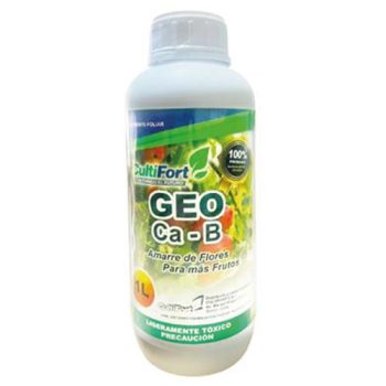 GEO Ca-B